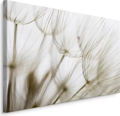 Produktbild von Fabelhafte Canvas LEINWAND BILDER 100x70 cm XXL Kunstdruck Natur Blumen Pusteblume