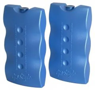 Immagine prodotto di 2 Pezzi Di Ghiaccio Con Durata 12 Ore In Plastica Blu Gr400