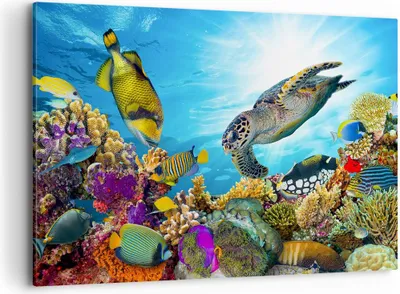 Produktbild von Bild auf Leinwand - Leinwandbild - Riff Koralle Fisch - 100x70cm - Wand Bild - Wanddeko - Leinwanddruck - Bilder - Kunstdruck - Wanddekoration - Leinwand bilder - Wandkunst - AA100x70-3704
