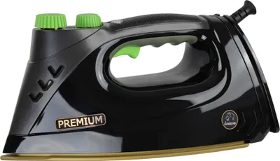 A black steam iron with green accents is shown against a white background.