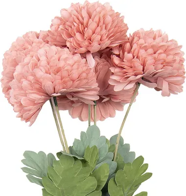 Image de Clayre & Eef 6PL0362P Décoration Branche avec fleurs 22x14x43 cm