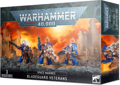 Image de Warhammer (S) 40K : Vétérans de la Garde de l'Épée des Space Marines