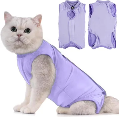 Produktbild von Katzenbody OP Erholungsanzug Kastration Entwöhnung Leckschutz Suit Katze