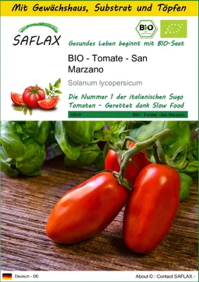 Produktbild von SAFLAX Anzucht Set - BIO - Tomate - San Marzano - Solanum lycopersicum - 15 Samen - Mit Mini-Gewächshaus, Anzuchtsubstrat und 2 Töpfen