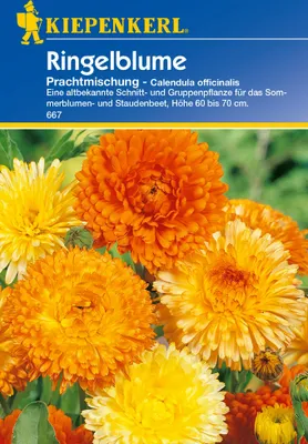 Produktbild von Kiepenkerl Ringelblume Prachtmischung