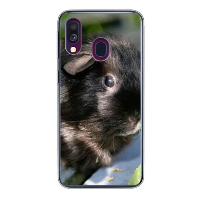 Produktbild von MuchoWow® Handyhülle Schutzhülle Hülle für Samsung Galaxy A40 Meerschweinchen im Garten Silikon Softcase Handy Hülle - Handy-Tasche