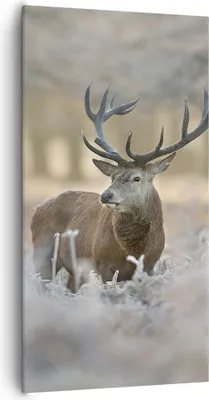 Produktbild von Bild auf Leinwand - Leinwandbild - Hirsch Wald Natur - 65x120cm - Wand Bild - Wanddeko - Wandbilder - Leinwanddruck - Bilder - Kunstdruck - Wanddekoration - Leinwand bilder - Wandkunst - PA65x120-3744