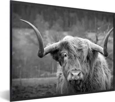 Produktbild von MuchoWow® Gerahmtes Poster Schottischer Highlander - Kuhkopf - Landschaft - Natur - Kuh 40x30 cm - Poster mit Schwarzem Bilderrahmen Wandposter Rahmen Foto Bilder - Kunstposter - Wanddekorationen