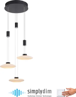 Zdjęcie produktu dla Żyrandol LED LAUTADA czarno-biały 22,5W Ciepła biel 1912,5lm metal wym:200x56x56cm IP20 Paul Neuhaus