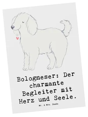 Produktbild von Mr. & Mrs. Panda Postkarte Bologneser Begleiter - Weiß - Geschenk, flauschiges Fell, Hunderassen Vielfalt, Grußkarte, Hunderasse, loyale Rasse, Ansichtskarten, bildkarte