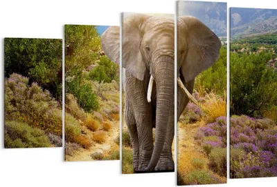 Produktbild von Bild auf Leinwand - Leinwandbild - Tiere Afrika Elefanten Spaziergang - 150x100cm - Wand Bild - Wanddeko - Leinwanddruck - Bilder - Kunstdruck - Leinwand bilder - Wandkunst - EG150x100-2708