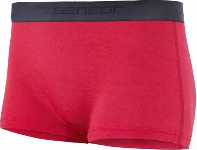 Productafbeelding van Sensor Merino Active leggings met ingebouwde slip, paars, maat L, artikelnummer 18100013-02