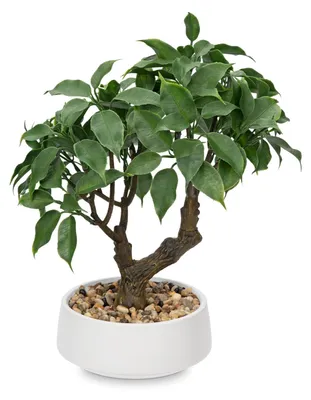 Produktbild von Kunstpflanze Bonsai-Baum in Keramiktopf für Innenräume