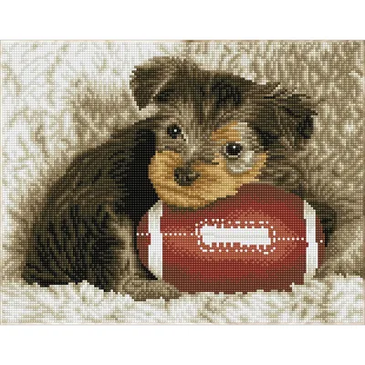 Image de Brandunit DQ8.017 - Footy Pup Diamond Dotz : 31x41 cm (DQ8.017)