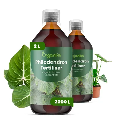 Obrázek produktu pro Filodendron Tekuté Hnojivo 2x1 L – 2-1-8 NPK – Pro Filodendróny – Podporuje Stabilné Kořeny & Rovnomerný Růst Listov – Organifer