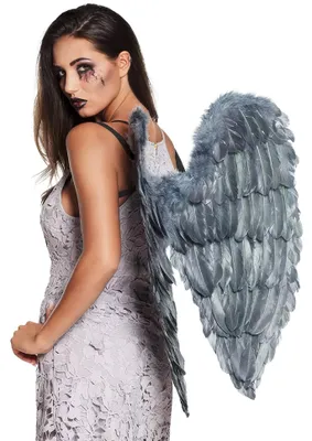 Image de Ailes de plumes Fallen Angel gris