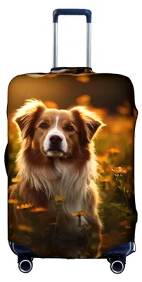 Produktbild von Gepäckhülle für Hunde und Blumen, elastisch, waschbar, dehnbar, kratzfest, Reisehülle, Weiß/Gartenmotiv, Medium