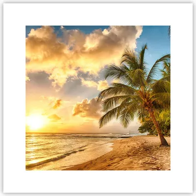 Produktbild von Poster - Poster ohne Rahmen - Strand Meer Palme - 30x30 cm - Wand Bild - Wanddeko - Wandbilder - Kunstposter - Wandposter - Bilder - Kunstdruck - Wanddekoration - Wandbild - P2XAC30x30-3606