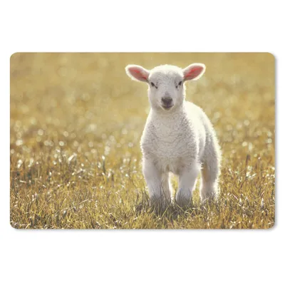 Obrázok produktu pre Podložka pod myš - Ovce - tráva - slnko - 60x40cm - Rohožka pod myš