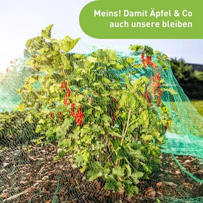 Produktbild von Windhager Vogelschutznetz 10x4m grün 15 mm Maschenweite