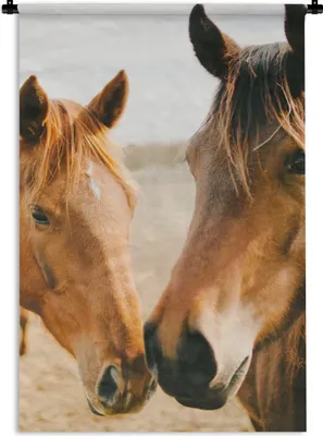Produktbild von MuchoWow® Wandteppich Wandbehang Pferd - Strand - Tiere 90x135 cm Tapisserie Dekoration Wandtuch - Baumwolle - Wandskulptur