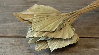 Produktbild von Palmenblatt 'Speer', groß, 10 Stück, ca. 30-40cm, Farben wählbar, Farbe:Natur