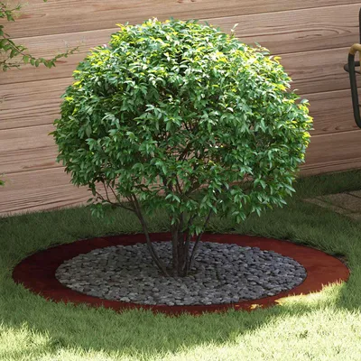 Image de vidaXL, adapté aux arbres à faible circonférence, 5 pièces, diamètre 90/120 cm, finition rouille