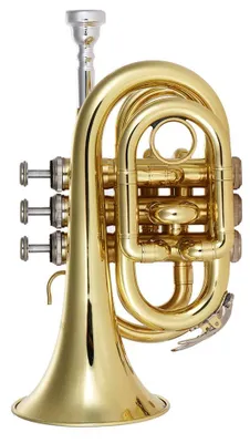 Taschen-Trompete Bb Flat, Messing, Gold, inkl. Zubehör