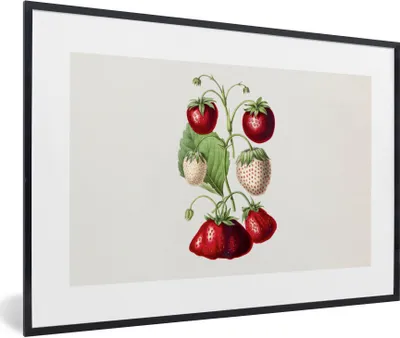 Produktbild von MuchoWow® Gerahmtes Poster Erdbeeren - Obst - Gesund 90x60 cm - Poster mit Schwarzem Bilderrahmen Wandposter Rahmen Foto Bilder - Fotorahmen - Foto-Plakat