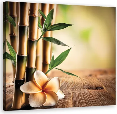 Produktbild von Leinwandbild Bambus-Zen-Blumen 30x30 Feeby Gelb bild für die wand bereit zum aufhängen