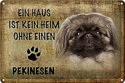 Produktbild von Blechschild Pekinesen 30x20cm Haus ist kein Heim ohne