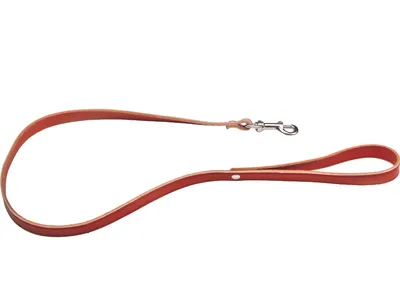 Obrázek produktu pro VODÍTKO PRO PSY S KARABINOU 13 x 900 mm