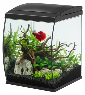 Gebogenes Aquarium 35 l mit Filter und LED, schwarz