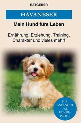 Produktbild von Havaneser