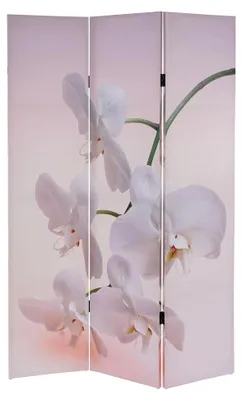 Produktbild von Foto-Paravent, Paravent Trennwand 180x120cm - Orchidee