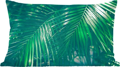 Produktbild von MuchoWow® Zierkissen Sofakissen Wohnzimmer Dekokissen 50x30 cm Palmenblätter - Makro - Grün - Mädchen - Kinder - Jungen - Wohnzimmerdekoration - Polster mit Photo