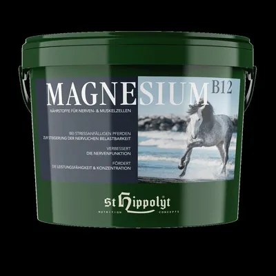 Image de Hippolyte Magnésium B12 | 2,5 kg