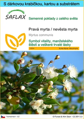 Obrázek produktu pro SAFLAX Dárková sada - Pravá myrta / nevěsta myrta - Myrtus communis - 30 Semena - S dárkovou krabičkou, přepravním štítkem, dárkovou kartou a pěstebním médiem