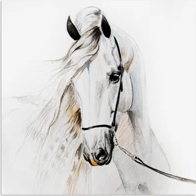 Produktbild von MuchoWow® Poster Pferd - Aquarell - Tiere - Weiß 100x100 cm - Babyzimmer