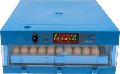 Produktbild von Brutautomat 64 Eier - Automatischer Eierinkubator - Temperatur- und Feuchtigkeitsregelung - Automatische Wendung - 80W - 48x48x21cm - Blau