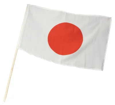 Produktbild von Japan-Fahne 40x60cm mit Holzstock