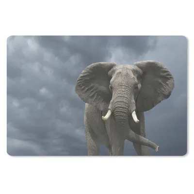 Produktbild von MuchoWow® Schreibtischunterlage Elefant - Wolken - Tiere - Natur 60x40 cm - XXL Mauspad - Großes Mauspad