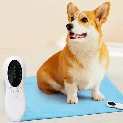 Produktbild von Heißliegendes Katzenbett, sehr weiches Hundebett, heißliegendes Kissen, warmes Matratzen für Katze und Hund