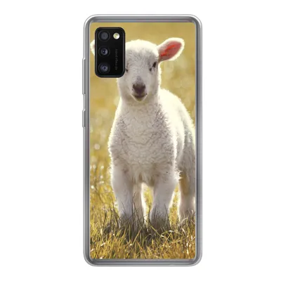 Produktbild von MuchoWow® Handyhülle Schutzhülle Hülle für Samsung Galaxy A41 Lamm - Gras - Sonne Silikon Softcase Handy Hülle - Mobiltelefon