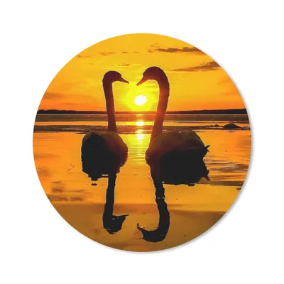 Produktbild von MuchoWow® Mauspad Mousepad Schwäne - Sonnenuntergang - Vogel - Orange - Wasser 40x40 cm - Mousepads - Maus Mat - Pad - Mausunterlage - Schreibtisch Accessoires