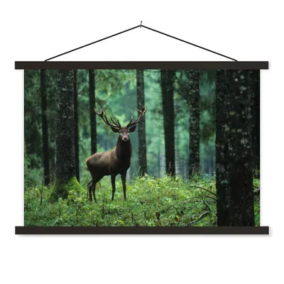 Produktbild von MuchoWow® Textilposter Hirsche - Wald - Bäume - Tiere - Natur 60x40 cm mit schwarzem Rahmen - Hölzernes