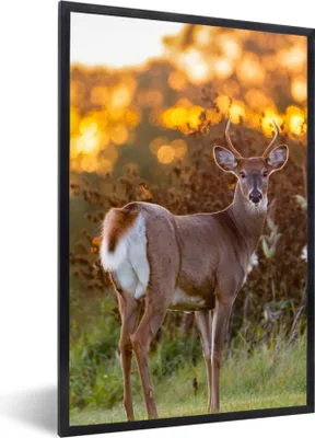 Produktbild von MuchoWow® Gerahmtes Poster Hirsche - Pflanzen - Sonnenuntergang - Wildtiere - Natur 60x90 cm - Poster mit Schwarzem Bilderrahmen Wandposter Rahmen Foto Bilder - Kunst