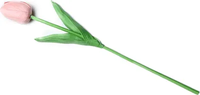 Obrázok produktu pre Umelý tulipánPolyuretánRealistické falošné tulipán pre domáce dekorácie Svadobné kvetinové aranžmá