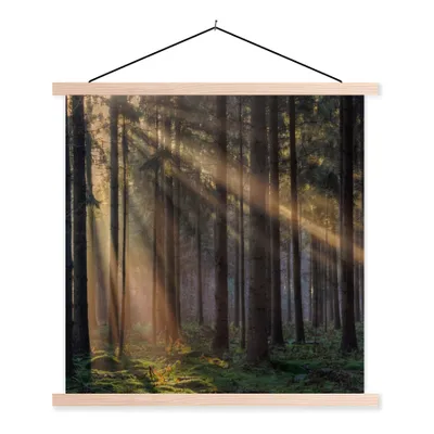 Produktbild von MuchoWow® Textilposter Bäume - Wald - Sonne - Pflanzen 60x60 cm mit holzfarbenen Rahmen - Wanddekoration