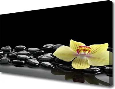 Produktbild von Tulup Leinwand-Bilder 100x50 Wandbild Canvas Kunstdruck Blume Steine Küche